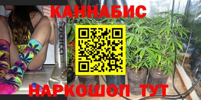 гашик Новозыбков