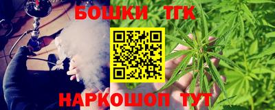 гашик Новозыбков
