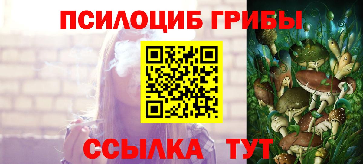 Псилоцибиновые грибы GOLDEN TEACHER Тимашёвск