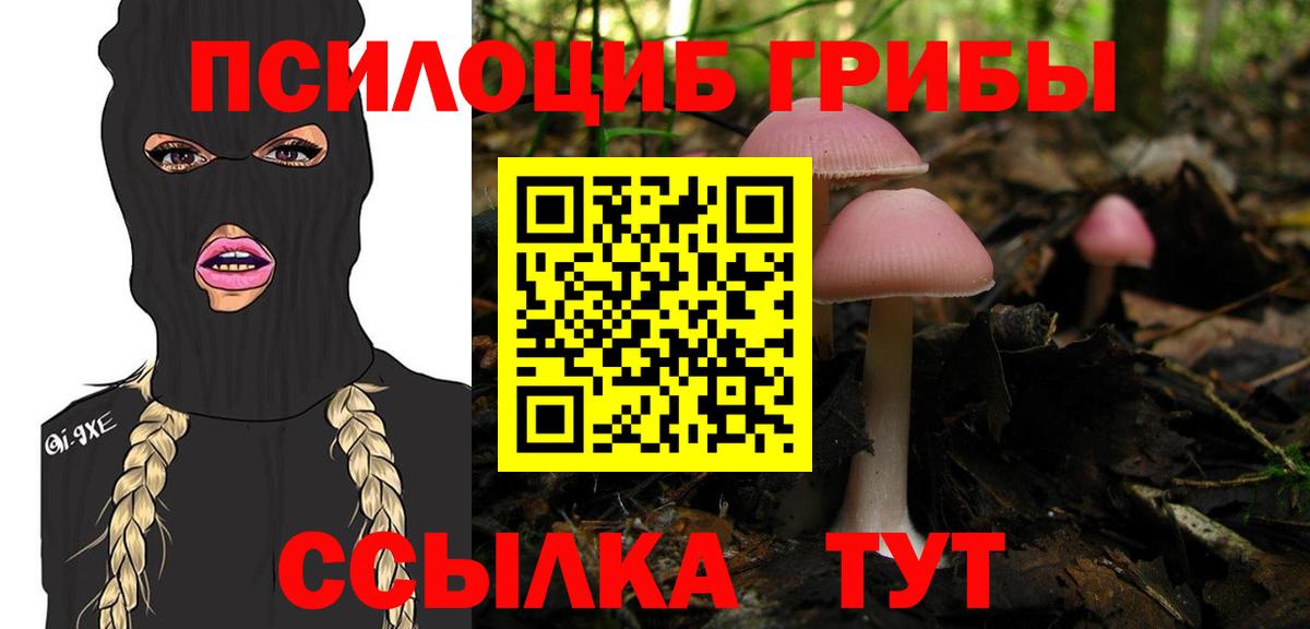 Псилоцибиновые грибы мухоморы  Псилоцибиновые грибы GOLDEN TEACHER  Тимашёвск  Вход с VPN 
